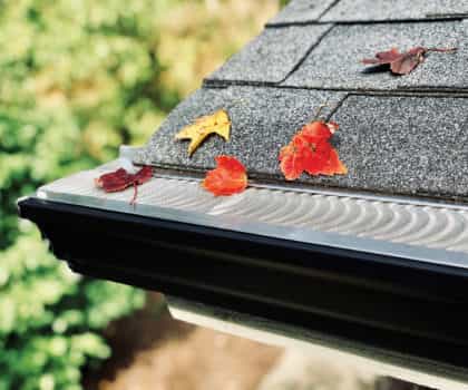 Premium gutter guards with autumn leaves